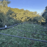 Το Εθνικό Δίκτυο Τηλεϊατρικής αλλάζει τον χάρτη της Δημόσιας Υγείας στην Ελλάδα – Eνισχύει την πρόσβαση των πολιτών στην υγεία Γρηγόρης Ραχωβίτσας