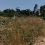 Κεραμέως: Επεκτείνουμε τα προγράμματα για ανέργους 55+ και άτομα με αναπηρία