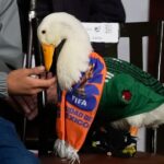 Η επιστροφή των Ελλήνων διαιτητών στα ντέρμπι: Πότε θα ληφθεί η τελική απόφαση