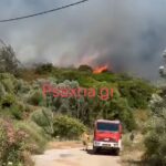 Οριοθετήθηκαν οι πυρκαγιές σε αγροτοδασικές εκτάσεις στην Κορινθία – Υπό έλεγχο η πυρκαγιά σε ξηρά χόρτα στα Σπάτα