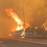 Φωτιά στο Ακραίφνιο: «Έχουμε συνεχείς αναζωπυρώσεις» λέει ο δήμαρχος – Άνοιξε η Εθνική Αθηνών-Λαμίας – Σοβαρές καταστροφές