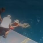Θανατηφόρο τροχαίο στο Ηράκλειο: Νεκρός 50χρονος οδηγός μηχανής – «Καρφώθηκε» σε αυτοκίνητο