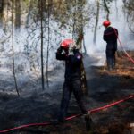 Εισφορά Αλληλεγγύης Συνταξιούχων (ΕΑΣ): Τι απαντά ο Τσάπαλος στα σενάρια για τη μείωση του αριθμού στις κλίμακες και πότε θα ληφθούν οι αποφάσεις