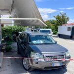 Δημιουργήθηκε ομάδα για τη διάσωση του λαγοκέφαλου – «Αξίζει προστασία και σεβασμό»