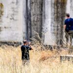 Εύβοια: Εντυπωσιακό βίντεο με κοπάδι δελφινιών να κολυμπάει δίπλα σε λουόμενους
