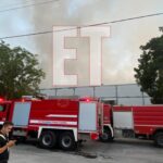 Αποτροπιασμός στη Ρόδο: 56χρονος έσερνε γαϊδουράκια δεμένα στο αγροτικό του – Σκληρό βίντεο