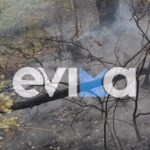 Κηδεία Βάγιας Νέστορα: Πλήθος κόσμου στο τελευταίο «αντίο» – Θα παραστεί ο Κυριάκος Μητσοτάκης