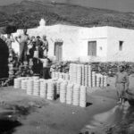 Οδύσσεια: Πώς ο Νόλαν έκανε τα ελληνικά μόδα και τον Όμηρο ανάρπαστο