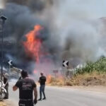 Μακροζωία: Η διατροφή που ακολουθούν όσοι ζουν πάνω από 100 χρόνια – Τι αποκαλύπτει καρδιολόγος Αναστασία Σταματιάδου