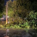 Παιδικοί και βρεφονηπιακοί σταθμοί ΕΣΠΑ 2026-2027: Ποια ΑΦΜ υποβάλλουν σήμερα αίτηση για τα voucher