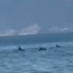 Σαν σήμερα 12 Ιουλίου: Πεθαίνει ο Άγιος Παΐσιος – Ο μοναχός που έγινε θρύλος, προφητεία και τηλεοπτικό φαινόμενο