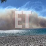 Ρέθυμνο: Το μεγαλύτερο μέρος του Φοινικόδασους του Πρέβελη διασώθηκε από την πυρκαγιά