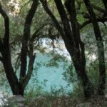 Νεκρή 62χρονη γυναίκα στην Κρήτη – Έπεσε από ταράτσα στον Άγιο Νικόλαο
