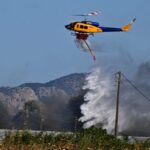 Viral έγινε μια πράξη ανθρωπιάς στο «Ελευθέριος Βενιζέλος» – Εργαζόμενος χαϊδεύει διασωθέντα ζώα που έφτασαν με πτήση