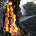 Δύο νεκροί πυροσβέστες στη μεγάλη πυρκαγιά στο Ρέθυμνο – Εγκλωβίστηκαν με το όχημά τους στις φλόγες