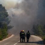 Ρέθυμνο: Το μεγαλύτερο μέρος του Φοινικόδασους του Πρέβελη διασώθηκε από την πυρκαγιά