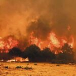 Βερολίνο: Σκοτώθηκε από την αστυνομία ο δράστης της τρομοκρατικής επίθεσης