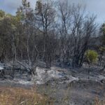 Αυτοκίνητο συγκρούστηκε με πυροσβεστικό όχημα στην περιοχή της Κασσάνδρας στη Χαλκιδική