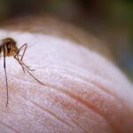 Ρέθυμνο: Ανοίγει το κλειστό γυμναστήριο στις Μοίρες για τους πυρόπληκτους από Αγία Γαλήνη και Άγιο Βασίλειο