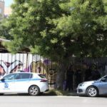 Το μοναδικό θέαμα στην Πελοπόννησο όταν δελφίνι «παίζει» με σκάφος και προσφέρει ένα εντυπωσιακό θέαμα – Δείτε το βίντεο