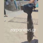 Διπλό φονικό στο Αίγιο: Σενάριο-θρίλερ με φόνο και αυτοκτονία
