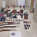 Νέα Μάκρη: Έκοβε φοίνικα ενώ η Αττική ήταν σε συναγερμό – «Έφαγε» πρόστιμο 3.750 ευρώ