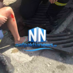 Φωτιά στο Παλαιοχώρι Φθιώτιδας – Έξι εναέρια μέσα στη μάχη της πυρόσβεσης