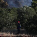 Νόσος χεριών, ποδιών και στόματος ( Coxsackie): Συμπτώματα, θεραπεία και πρόληψη Newsroom