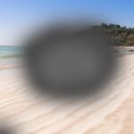 Πύρινος όλεθρος για την άγρια ζωή στη Γαλλία – Σπάνια είδη κινδυνεύουν με εξαφάνιση