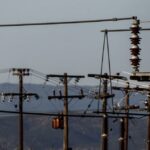 Viral έγινε μια πράξη ανθρωπιάς στο «Ελευθέριος Βενιζέλος» – Εργαζόμενος χαϊδεύει διασωθέντα ζώα που έφτασαν με πτήση
