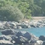 Λητή Θεσσαλονίκης: Βαρύ πένθος μετά τη φονική πυρκαγιά – Οι έρευνες για την οικογενειακή τραγωδία – Πού εντοπίστηκε ο 12χρονος