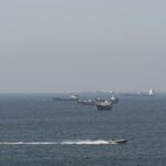 Σπίτι-κολαστήριο: Διέσωσαν 155 ζώα μέσα σε αμμωνία και ακαθαρσίες – «Δεν θα σταματήσουμε μέχρι να τα βρούμε όλα»