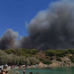 Φωτιά σε δασική περιοχή στη Σαλαμίνα – Καίει κοντά σε κατοικημένη περιοχή – Μήνυμα από το 112