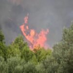 Πολλά τα ερωτήματα για τον θάνατο του 4χρονου στην Πάρο – «Ο παιδικός πνιγμός είναι πάντα σιωπηλός»