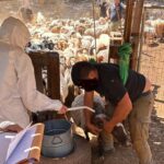 Οι γραμμές άμυνας της κυβέρνησης για να αναχαιτίσει την ακρίβεια και το πακέτο ελαφρύνσεων της ΔΕΘ