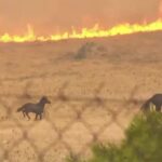 Κυψέλη: Σκότωσε την 38χρονη, την έβαλε στη βαλίτσα και της έκλεψε τις κάρτες – Πώς έφτασαν στα ίχνη του δολοφόνου