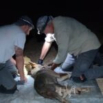 Νεκρός 85χρονος σε έκταση με ελαιόδεντρα στην Κρήτη – Τον βρήκε ο γιος του
