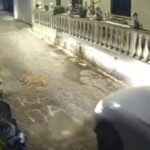 Μεταφορές προσφύγων από Κρήτη προς νησιά Βορείου Αιγαίου: Τι αναφέρει το υπ. Μετανάστευσης
