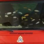 Φωτιές σε Μαρούσι και Χίο: 2 συλλήψεις – Χρησιμοποίησαν ψησταριά και βενζινοκίνητη αντλία