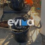 «Το Πόρτο Γερμενό καταστράφηκε, κάηκαν σπίτια μεροκαματιάρηδων, όλα γύρω μας είναι στάχτη» – Απεγνωσμένοι οι κάτοικοι