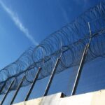 Λειψοί: Η μικρή φώκια που κέρδισε τη μάχη για τη ζωή