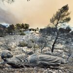 Τέλος στις καθυστερήσεις για τις πινακίδες κυκλοφορίας – Τι αλλάζει με το νέο ψηφιακό σύστημα