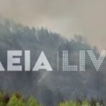Κλήρωση Τζόκερ 09/08/2026: Αυτοί είναι οι αριθμοί που κερδίζουν 2.800.000 ευρώ