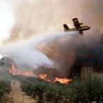 Φωτιά στη Νέα Τένεδο Χαλκιδικής – Στη μάχη 47 πυροσβέστες και ελικόπτερο