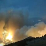 Φωτιά στη Δυτική Αττική: Σώθηκαν πάνω από 100 ζώα στο πρόχειρο καταφύγιο στα Βίλια