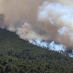 Οι δύο χώρες που «σερβίρουν» τον μισό καφέ του πλανήτη