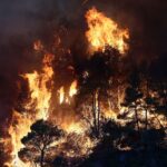 Πυρκαγιές: 11 συλλήψεις σε Αργολίδα, Ηλεία, Σέρρες, Αττική και Λέσβο – Πώς ξέσπασε η φωτιά στο Φίχτι 
