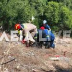 Οι τροφές που επιτρέπονται στη νηστεία του Δεκαπενταύγουστου – Πότε τελειώνει