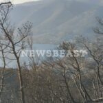 Ένα διήγημα κάθε ημέρα – Καλοκαίρια στην «ΑΙΓΛΗ» από την Κατερίνα Καριζώνη