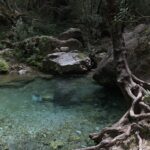 «Από ανθρώπινο χέρι 9 στις 10 πυρκαγιές» – Σχεδόν 900 ενάρξεις μόνο τον Αύγουστο